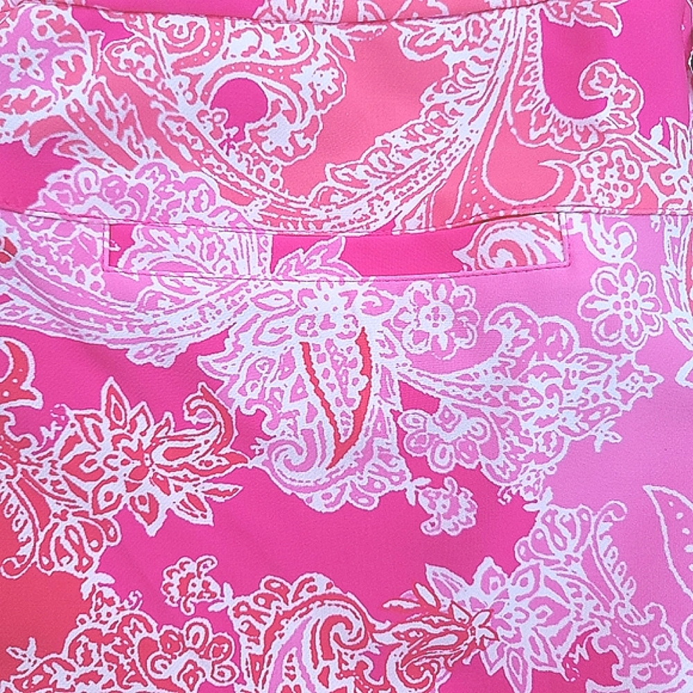 IBKUL Pink Paisley Ankle Pants Great pair of golf pants size 4 - Picture 10 of 16